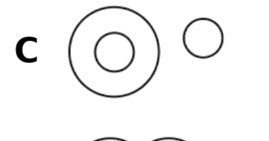 Diagram C